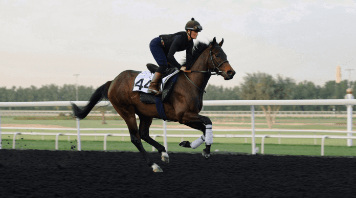 G1 placed Starlust heads strong international team in Dubai Trop